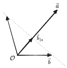 all the vectors with the same projection